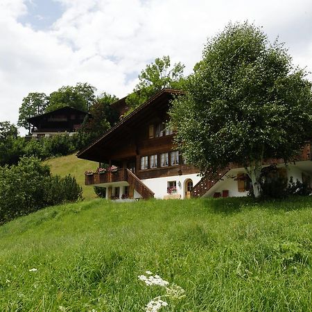 Chalet Unter Dem Stein Grindelwald Extérieur photo
